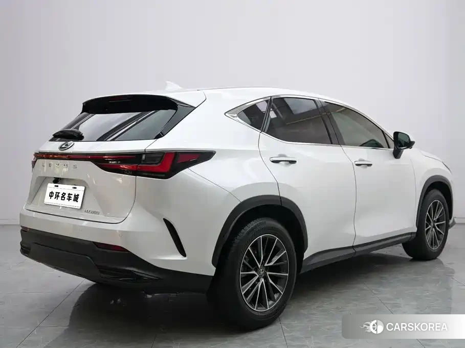 Lexus NX id 4628084 из Китая 10