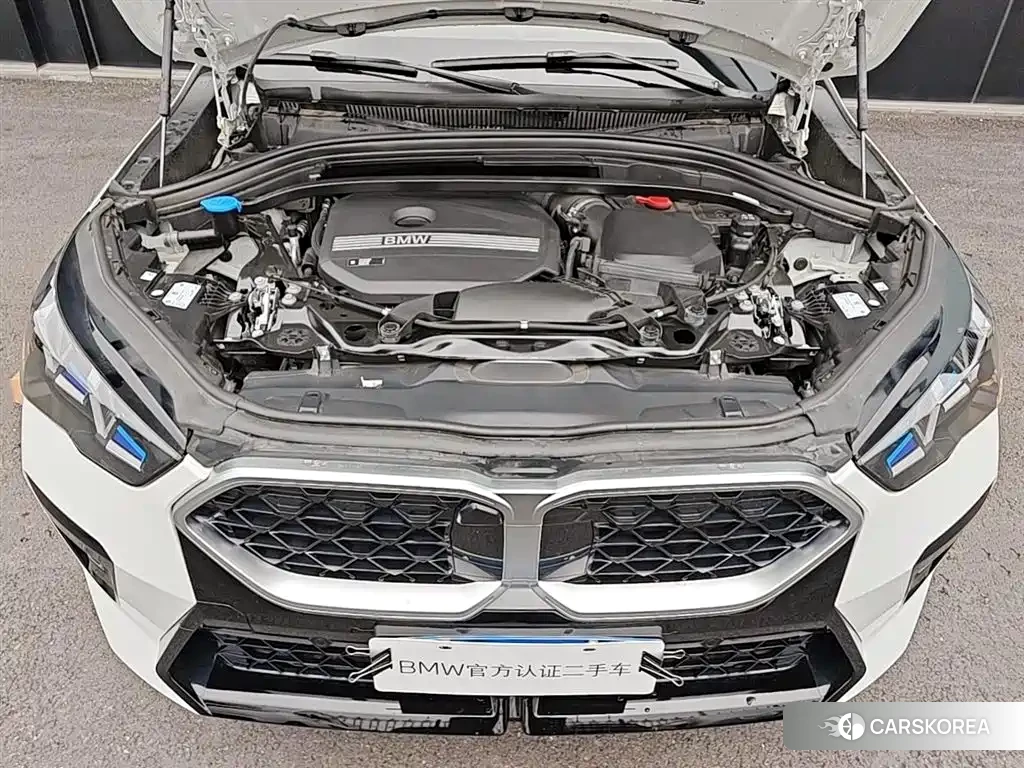 BMW X2 (imported) id 4553906 из Китая 10