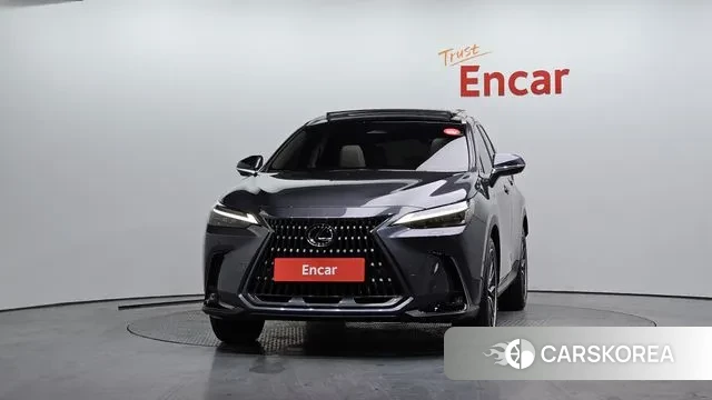 Lexus NX350h Second generation id 3644501 из Кореи 13