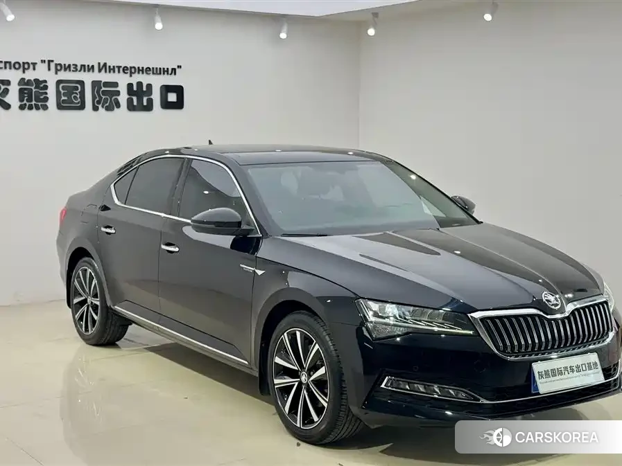 Skoda Speed pie id 4548301 из Китая 9