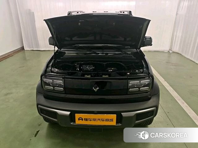 Baojun Yue Ye id 4210096 из Китая 13
