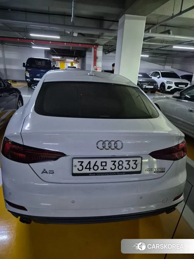 Audi A5 (F5) 2019 Белый из Кореи, фото 3