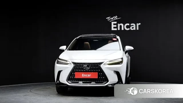 Lexus NX350h Second generation id 3452304 из Кореи 13