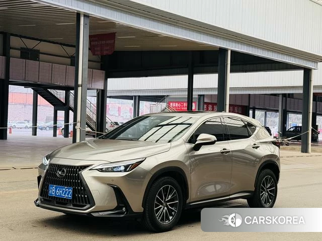 Lexus NX id 4274713 из Китая 10