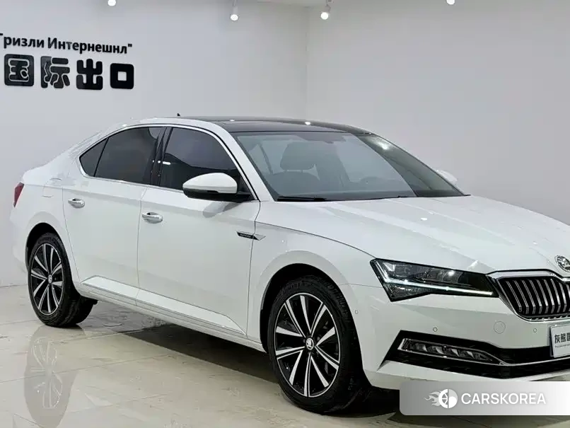 Skoda Speed pie id 4553642 из Китая 8
