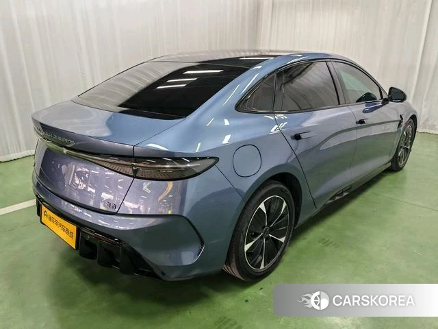 BYD seal id 4242416 из Китая 13