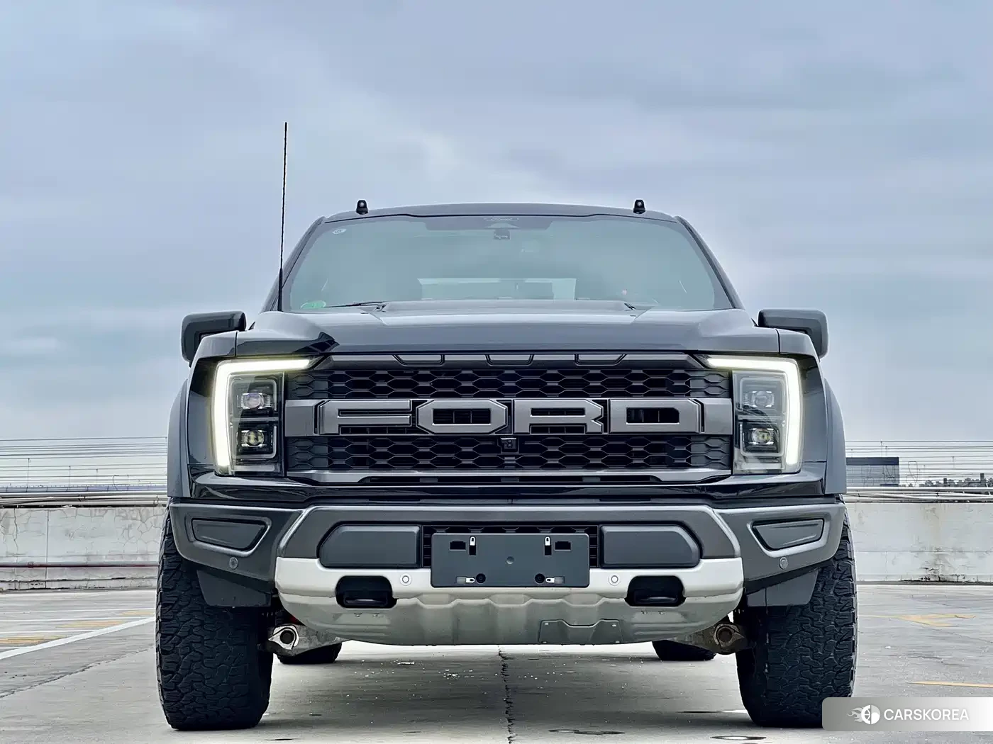 Ford F-150 Raptor id 4553706 из Китая 17