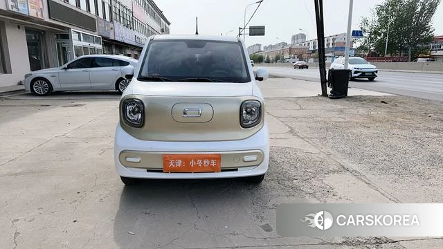 Pentium pony 2025 Белый из Китая, фото 3