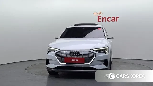 Audi e-Tron id 3702546 из Кореи 13