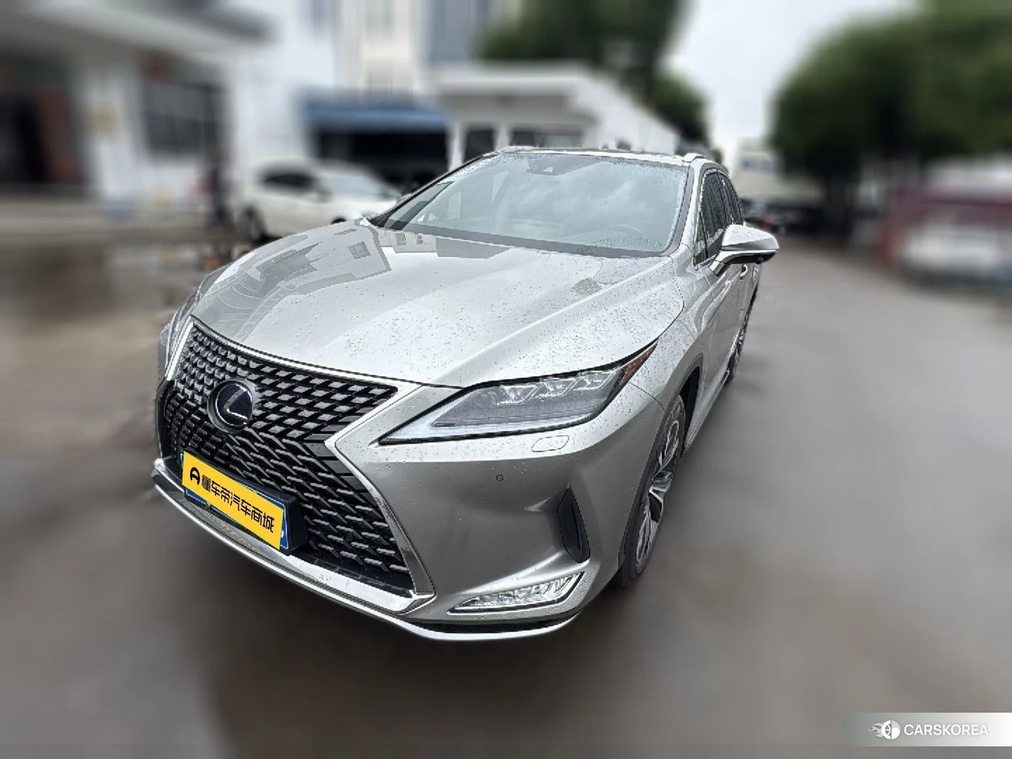 Lexus RX id 4461706 из Китая 14