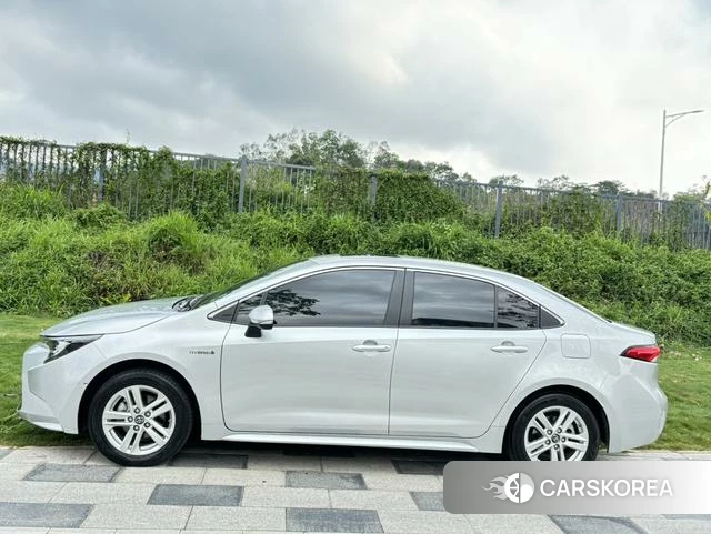 Toyota Lei Ling id 4262068 из Китая 8