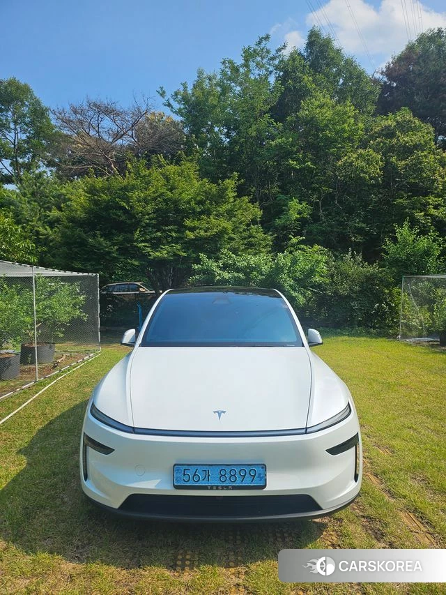 Tesla Model Y 2025 Белый из Кореи, фото 4