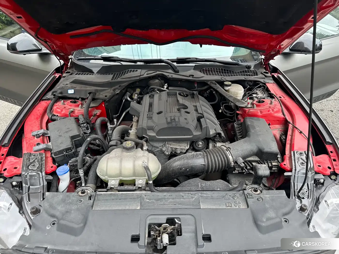 Ford Mustang id 4538693 из Китая 23