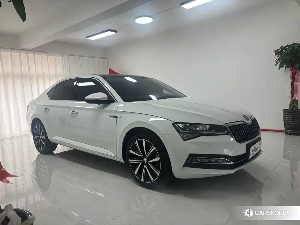 Skoda Speed pie id 4553923 из Китая 13