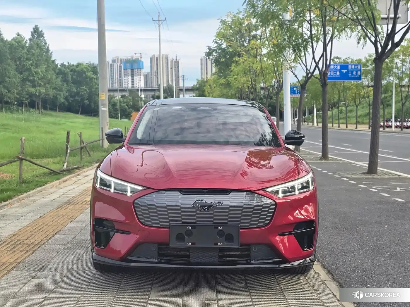 Ford Electric horse 2022 Red/purple из Китая, фото 3