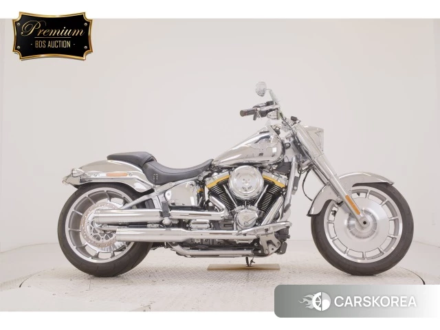 OTHER HARLEY FLSTFI1920 2025 из Японии