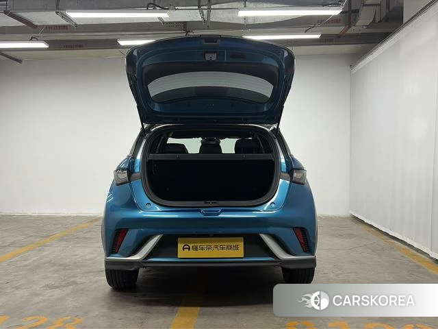 BYD dolphin id 4216848 из Китая 13