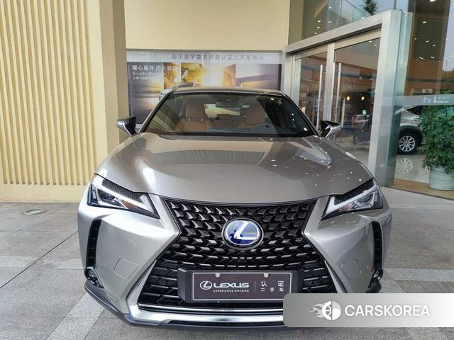 Lexus UX EV 2021 Серебристо-серый из Китая, фото 3