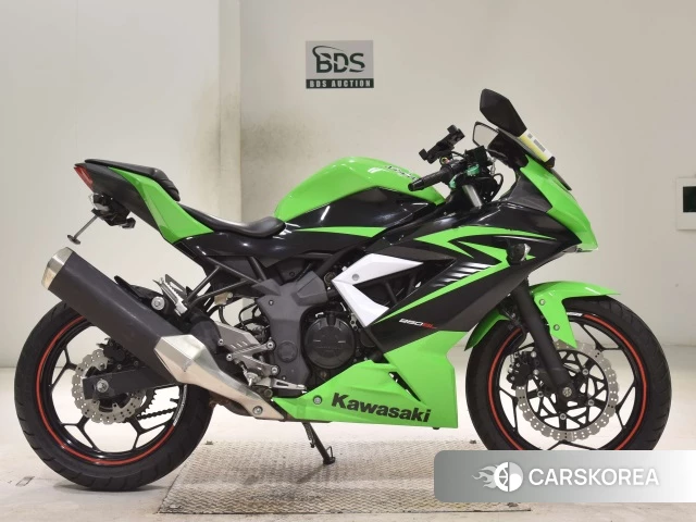 Kawasaki NINJA 250SL 2015 из Японии