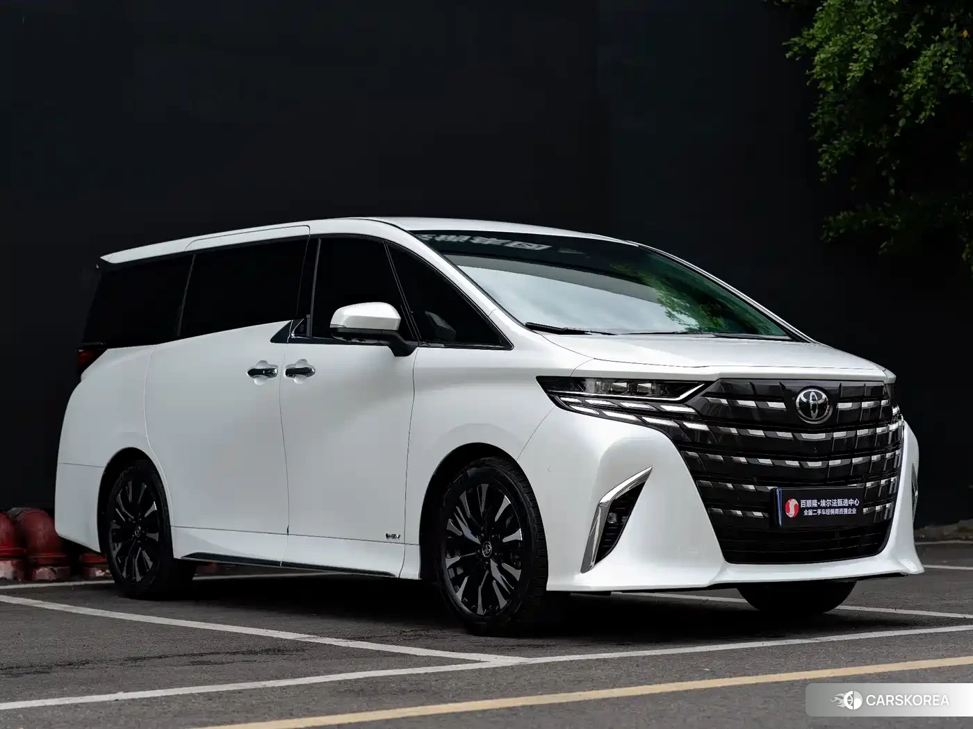 Toyota Elfa id 4622521 из Китая 9