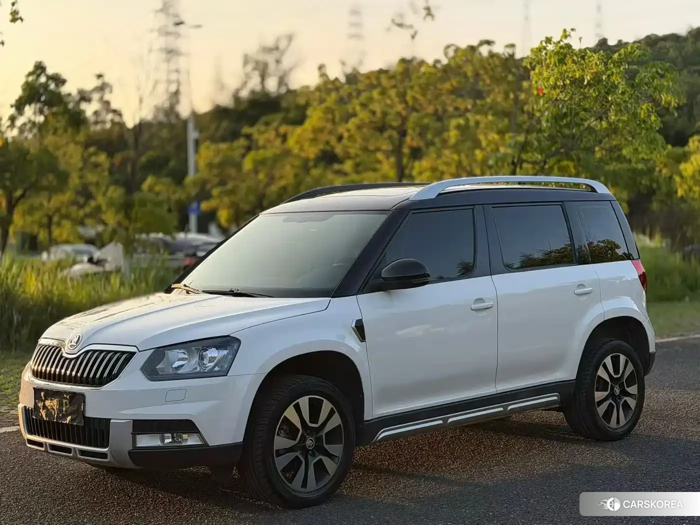 Skoda Yeti id 4622760 из Китая 11