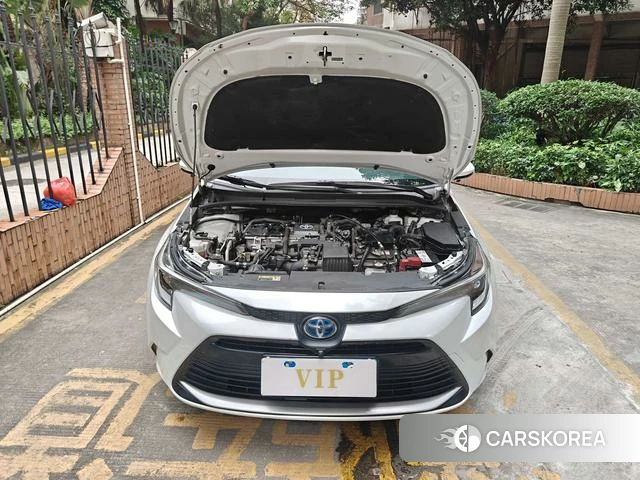 Toyota Lei Ling id 4307574 из Китая 23
