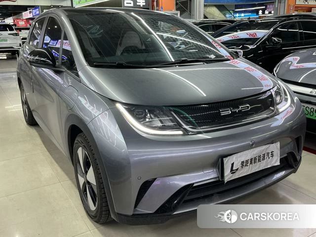 BYD dolphin id 4208734 из Китая 8