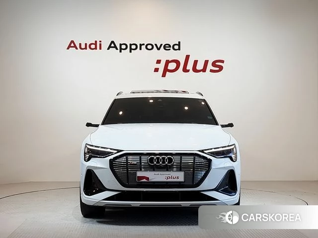 Audi e-Tron id 4893234 из Кореи 13