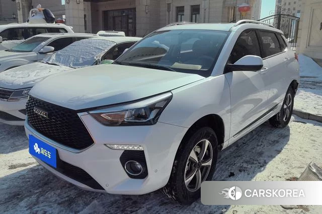 Haval H6 Coupe id 3782999 из Китая 10