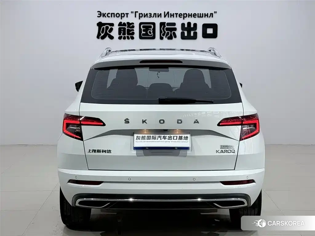 Skoda Krok id 4548080 из Китая 7