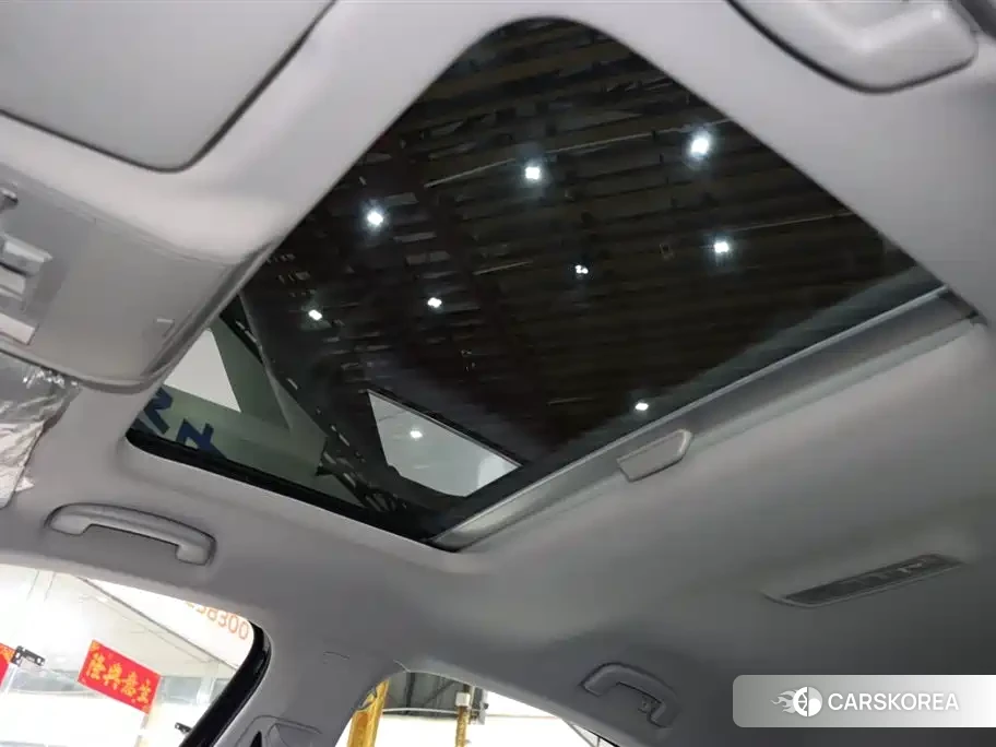 Skoda Speed pie id 4515532 из Китая 13