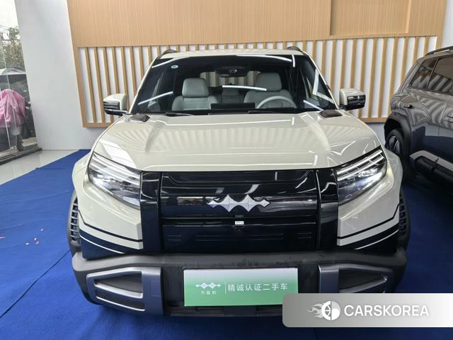 Leopard Titanium 3 id 3968831 из Китая 12