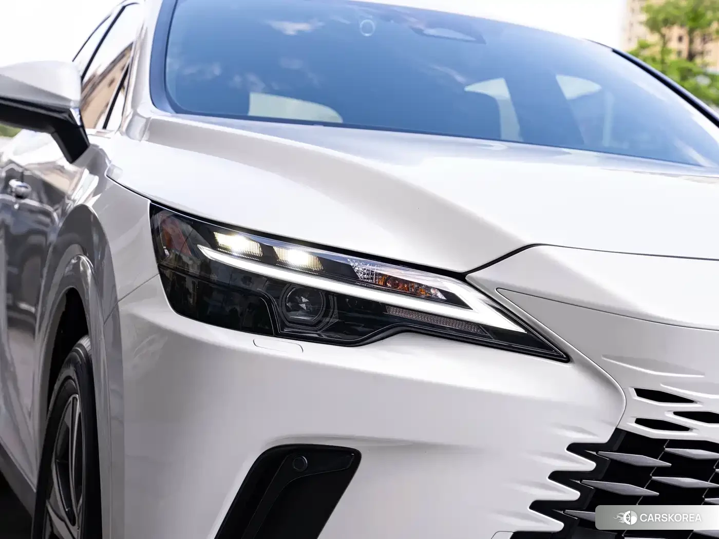 Lexus RX id 4547990 из Китая 12
