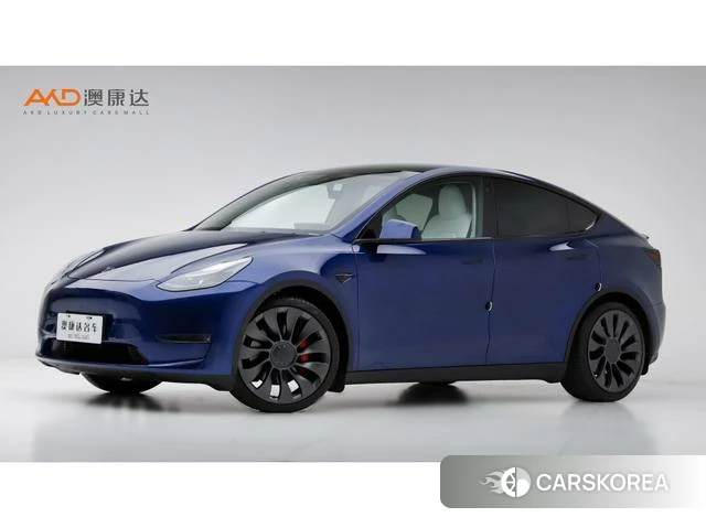 Tesla Model Y 2024 Синий из Китая, фото 3