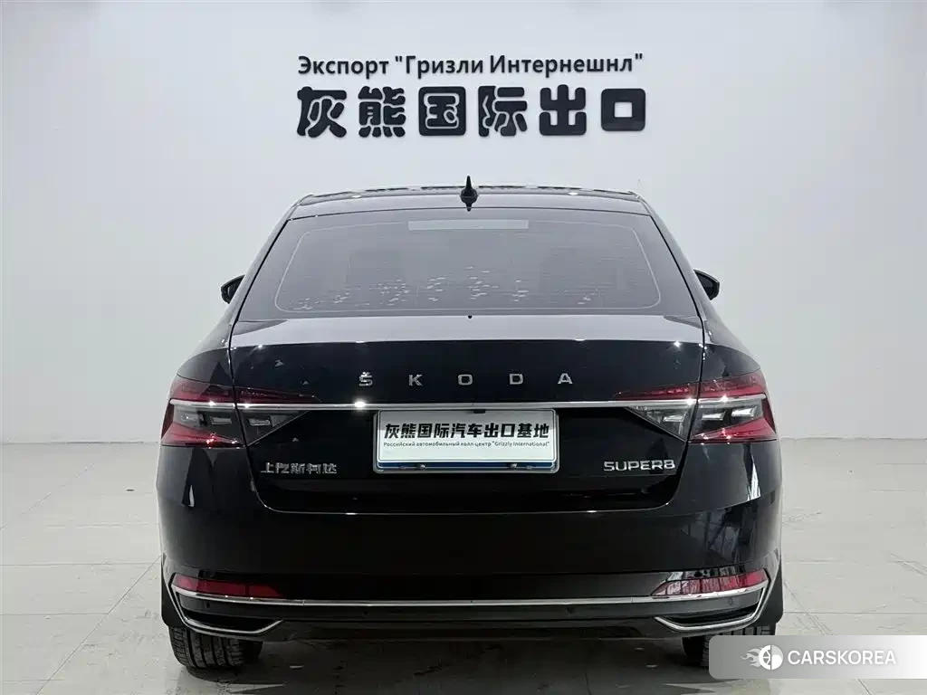 Skoda Speed pie id 4548303 из Китая 8
