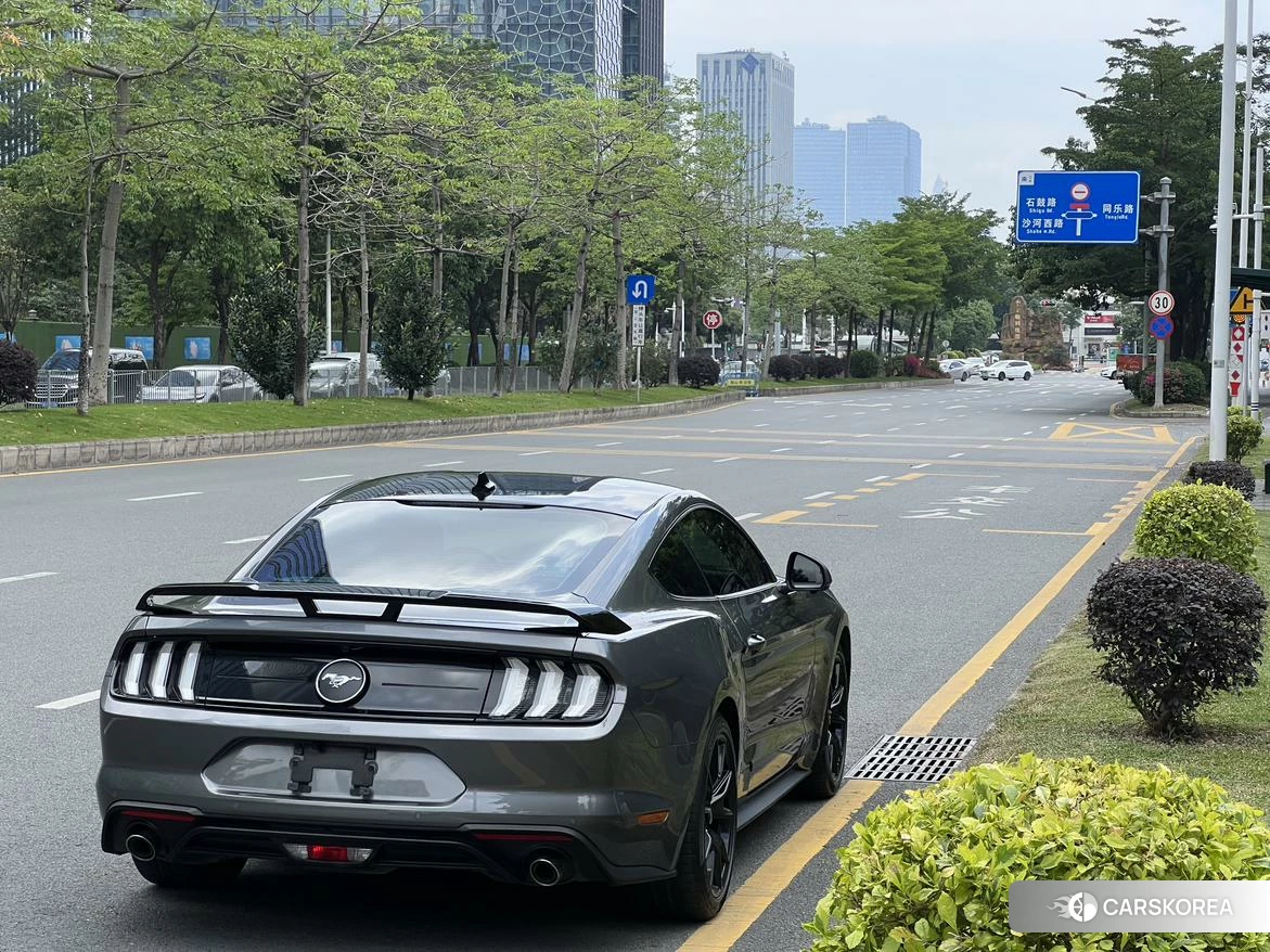 Ford Mustang id 4485530 из Китая 13