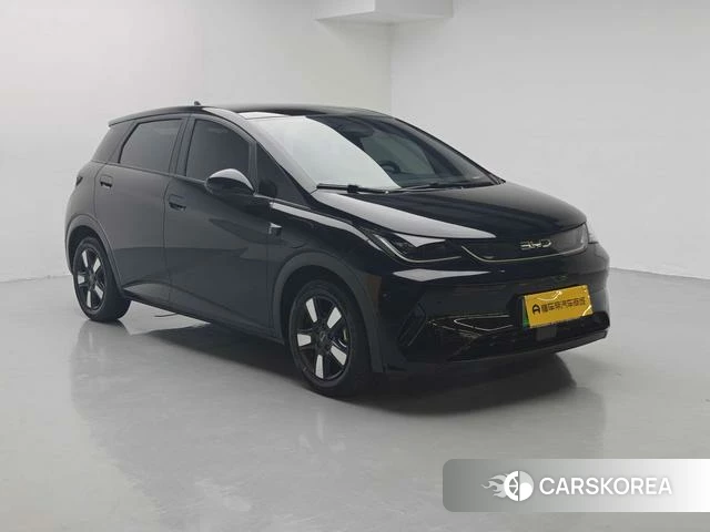 BYD dolphin id 3957663 из Китая 13