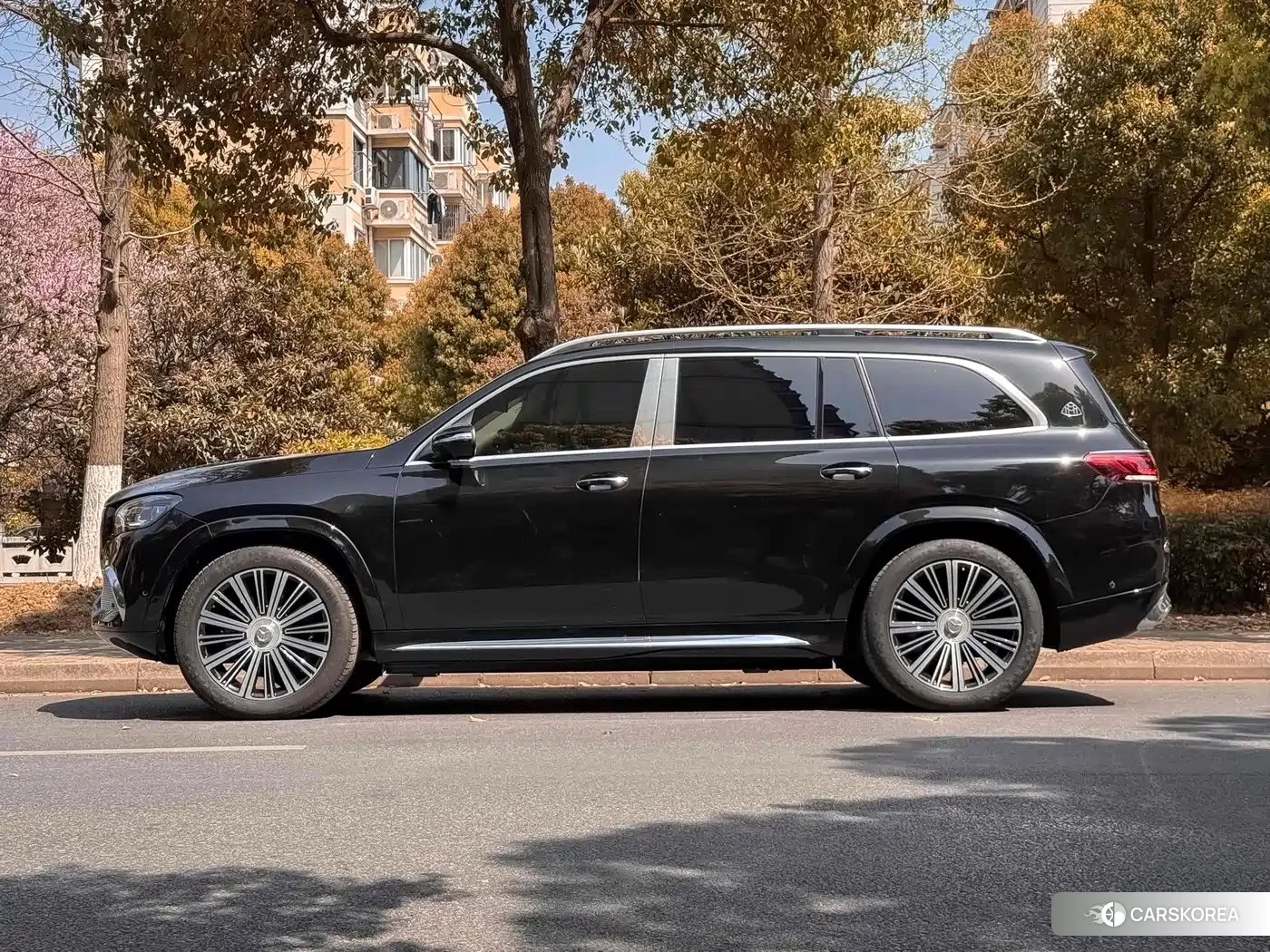 Mercedes-Benz Maybach GLS 2023 Черный из Китая, фото 3