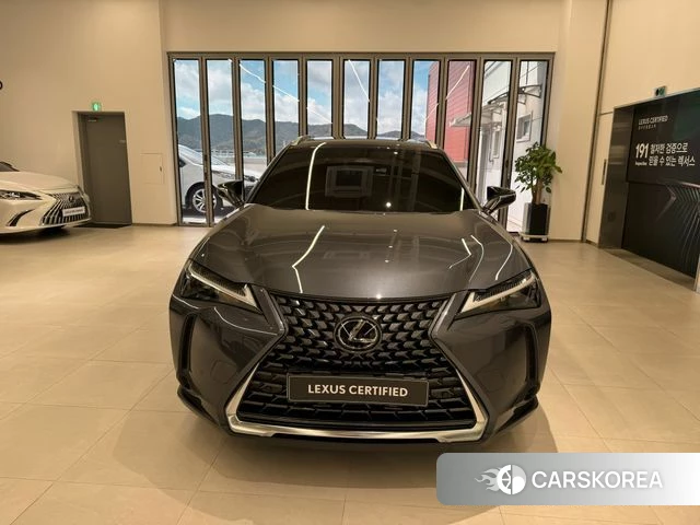 Lexus UX300h 2025 Серый из Кореи, фото 6