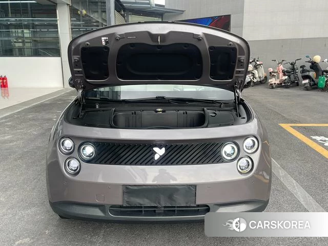 firefly firefly Unknown id 4182703 из Китая 23