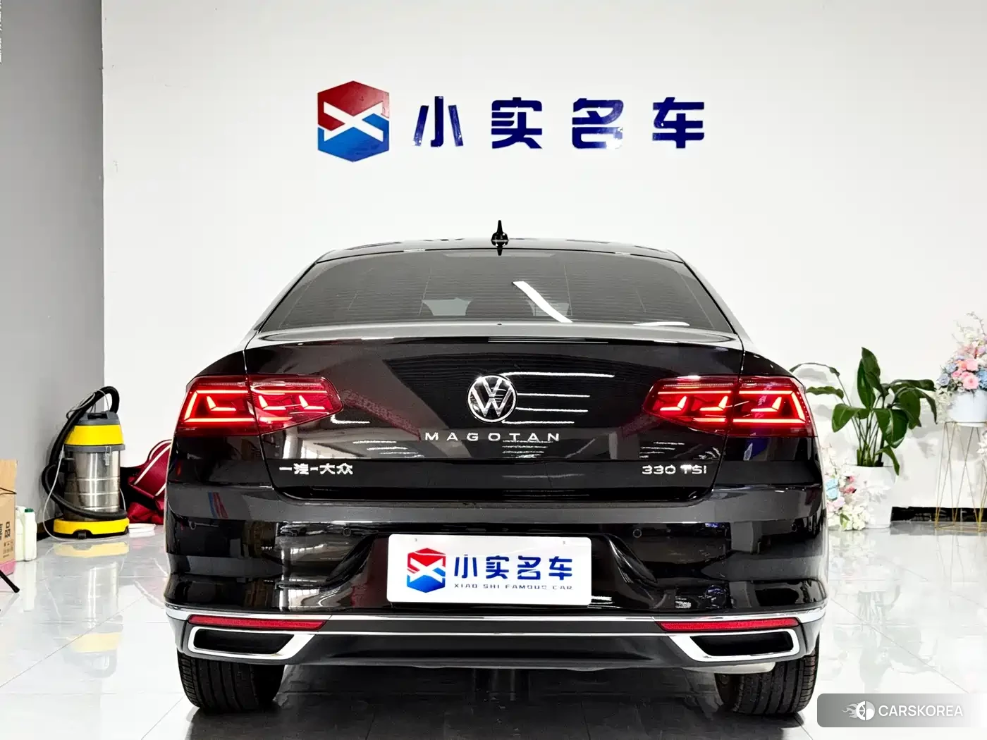 Volkswagen Magotan id 4681144 из Китая 9