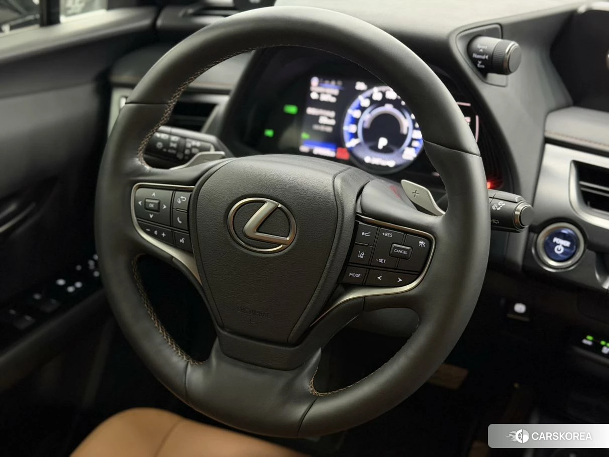 Lexus UX EV id 4498572 из Китая 12