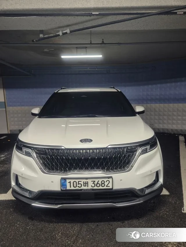 Kia The New Carnival 2019 Белый из Кореи, фото 4