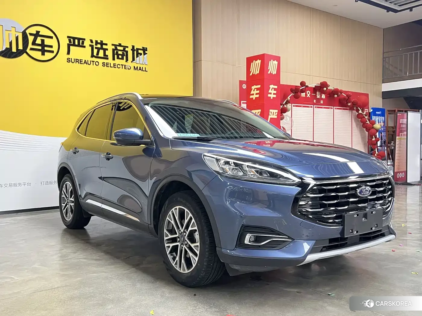Ford Ruiji 2022 Синий из Китая, фото 4