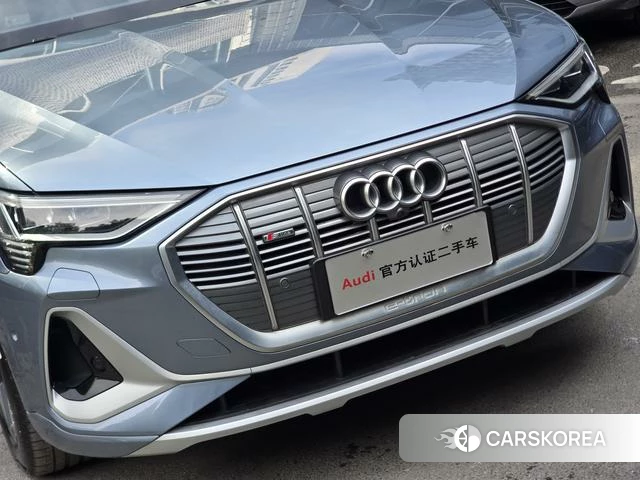Audi e-tron id 4253714 из Китая 16