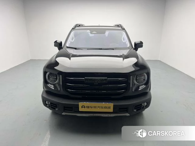 Haval Big dog id 4215217 из Китая 13
