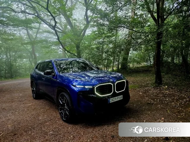 BMW XM (G09) 2024 Синий из Кореи, фото 4