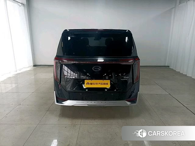 GAC Trumpchi Trumpchi M8 id 4253146 из Китая 13