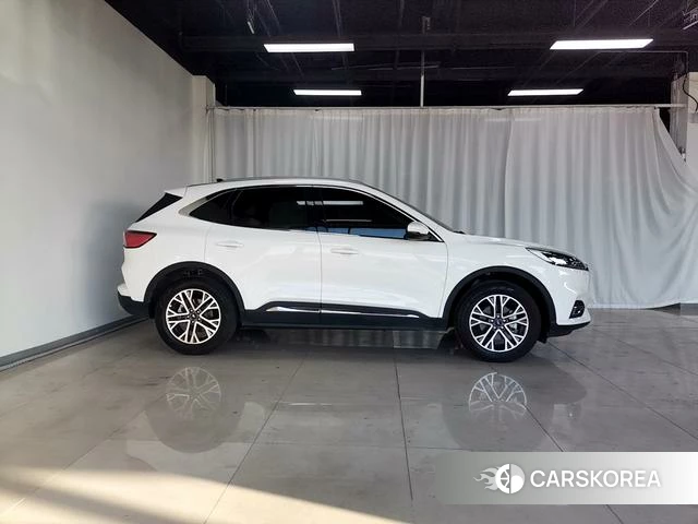 Ford Ruiji id 4393348 из Китая 13