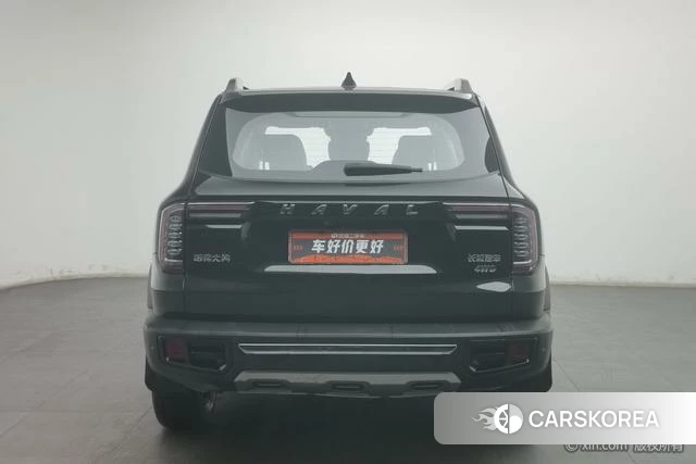 Haval Big dog id 4210237 из Китая 17